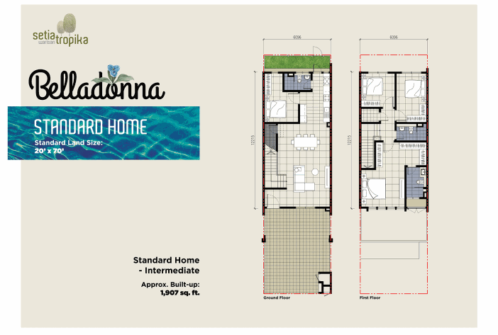 BELLADONNA STANDARD HOME - INTERMEDIATE